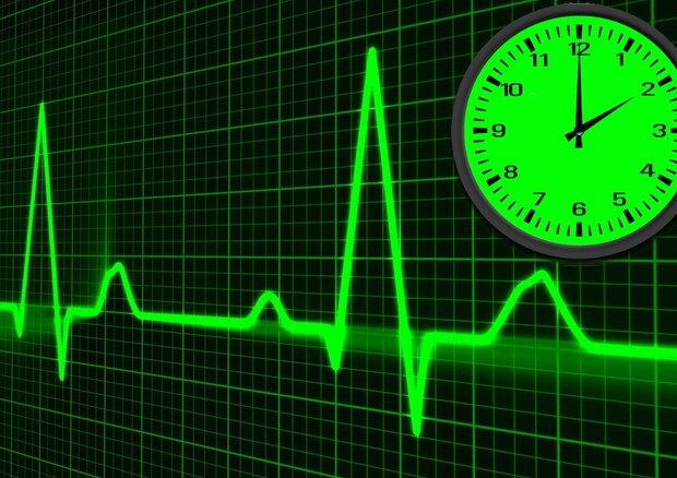 La percezione del tempo varia con il battito del cuore (fonti: il tracciato delle'elettrocardiogramma è di PulicDomainPictures, orologio di Creazilla) © Ansa
