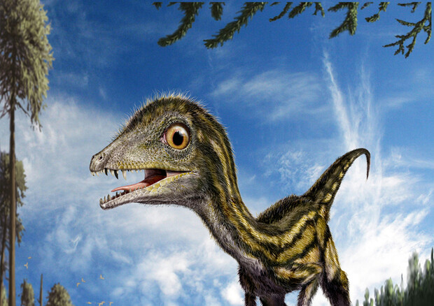 Ricostruzione artistica del dinosauro Ciro (fonte: © Davide Bonadonna) © Ansa