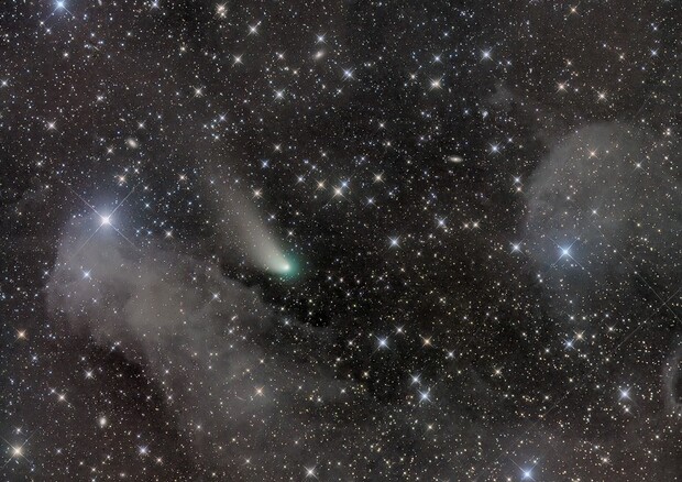 La fuga della cometa ZTF ripresa dall’astrofilo italiano Rolando Ligustri (fonte: R. Ligustri) © Ansa