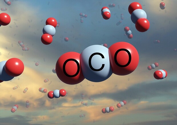L’anidride carbonica può essere convertita in bioplastica rispettosa dell’ambiente (fonte: Pixabay) © Ansa