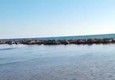 Verdesca salvata con squaletti in spiaggia Sciacca (ANSA)