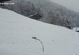 Maltempo, Dolomiti bellunesi: la neve ricopre Falcade © ANSA