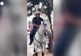 Colombia, senatore arriva a sorpresa in Parlamento a cavallo (ANSA)