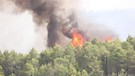 Incendio nel Ragusano, distrutti parco e area attrezzata nel bosco di Calaforno (ANSA)