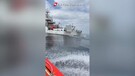 Catania, la guardia costiera sequestra piu' di una tonnellata di tonno rosso (ANSA)