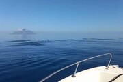 Eolie: scolari in barca e delfini li accompagnano