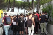 Roma, mucca uccisa a frecciate in un Istituto agrario. 'Gesto brutale'