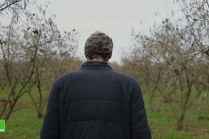 L'agricoltore di dicembre. Lorenzo Drago, coltivazione di nocciole tra il Lazio e l’Ue (ANSA)