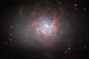 La galassia NGC 1705 è stravagante: nonostante sia piccola e irregolare, sta aiutanto a capire molte cose sulla formazione delle galassie (fonte: ESA/Hubble & NASA, R. Chandar; CC BY 4.0, da Flickr) (ANSA)