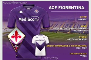 Fiorentina (ANSA)