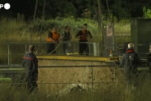 Francia, rimosso il beluga arenato nella Senna (ANSA)