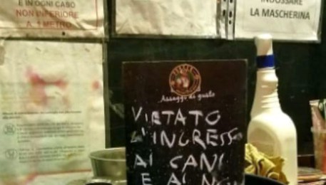 'Stop a cani e No Vax', minacce dopo provocazione pub Torino (ANSA)