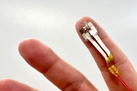 The electronic tattoo connected to the battery (credit: V. Polini/IIT)
