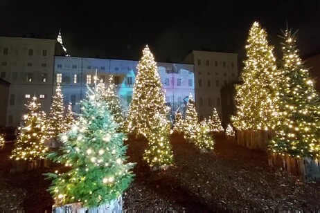 Torino accende il Natale con il videomapping e un bosco di abeti
