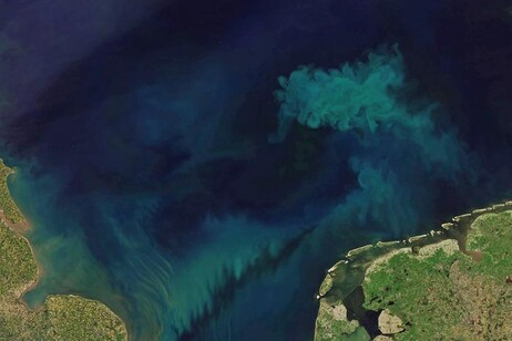 Immagini del satellite Aqua (fonte:NASAJoshua Stevens,Landsat, USGS, MODISLANCE/EOSDIS)