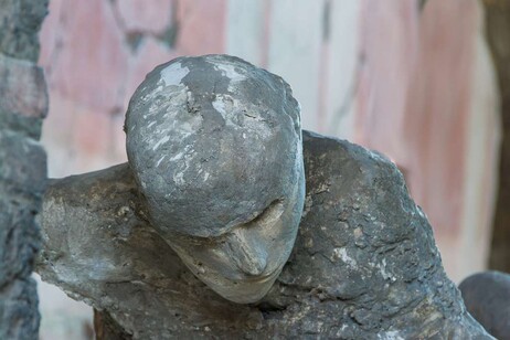 Una delle vittime dell'eruzione del Vesuvio a Pompei (fonte: Picryl)