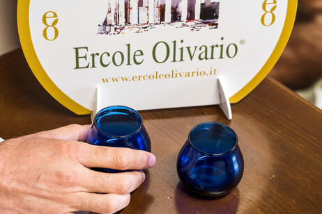 Ercole Olivario 2024 - Premiati i migliori Oli d'Italia