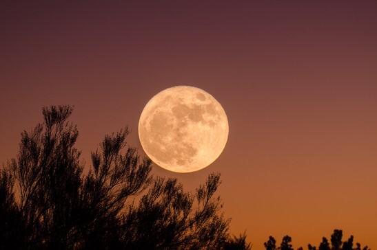 L'ultima Superluna del 2023 dà spettacolo (fonte: free via unsplash)