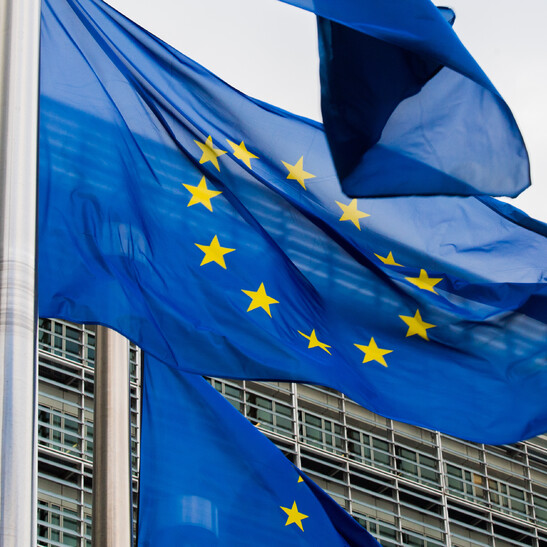 Venti ceo delle Tlc alla Ue, 'agire per proteggere il futuro digitale'