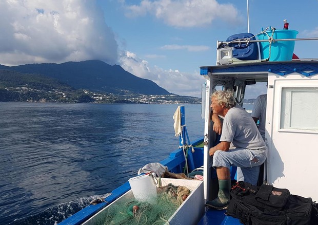 Bellanova a Ue, pesca sostenibile è priorità italiana (foto: ANSA)