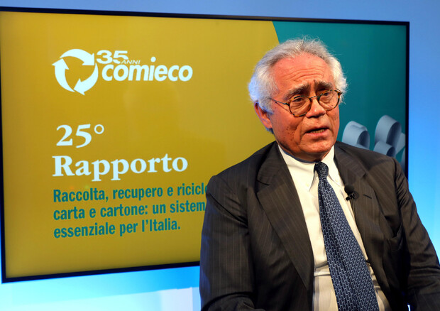 Giorgio Quagliuolo, presidente Corepla © ANSA
