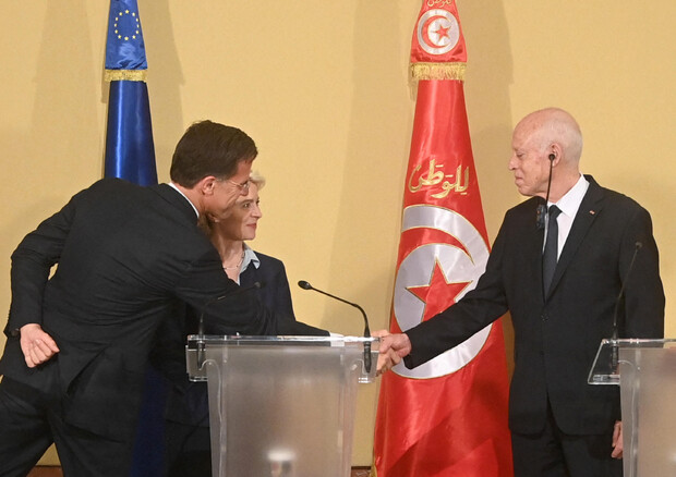 All'eurocamera intesa Ue-Tunisia nel mirino, sinistra e Verdi in trincea (ANSA)