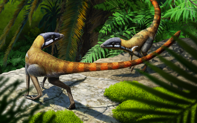 Ricostruzione artistica dell'antenato dello pteurosauro, lo Scleromochlus taylori (fonte: Gabriel Ugeuetto)