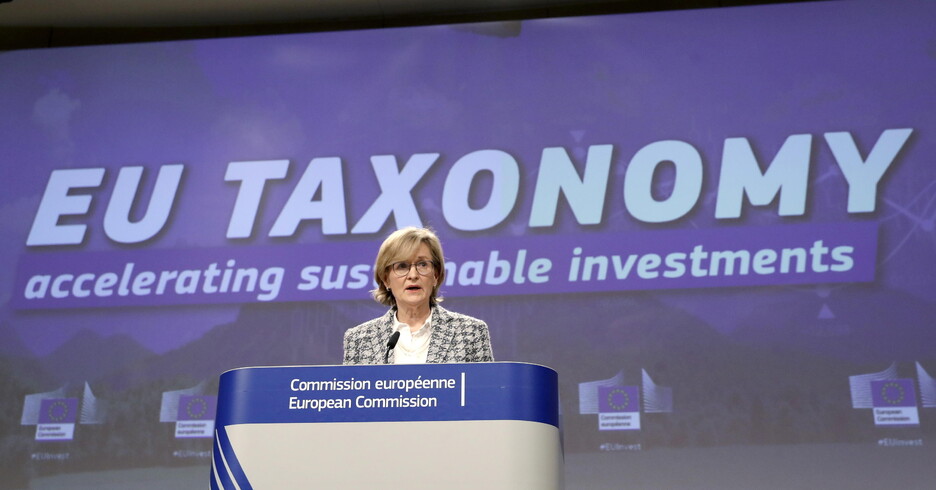 La Commissione europea presenta la tassonomia per gli investimenti 'verdi' (ANSA)