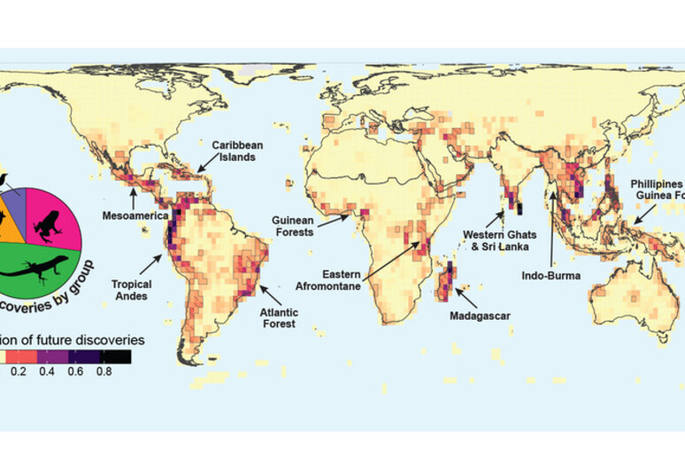 La mappa dei luoghi in cui più prbabilmente vivono specie non ancora scoperte (fonte: Yale) - RIPRODUZIONE RISERVATA