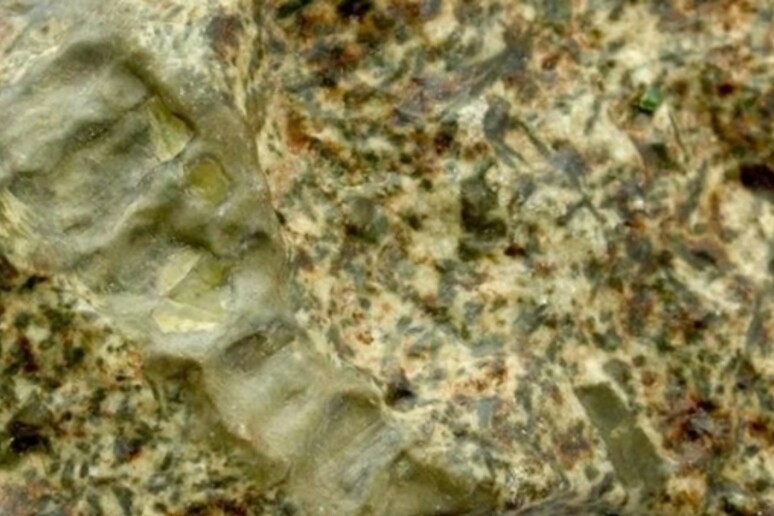 Un frammento del meteorite EC 002 (fonte: A. Irving, public domain) - RIPRODUZIONE RISERVATA