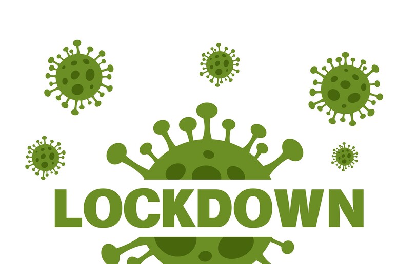 I Lincei chiedono ristori per i giovani ricercatori non di ruolo danneggiati dal lockdown (fonte:  Krustovin August da Pixabay) - RIPRODUZIONE RISERVATA