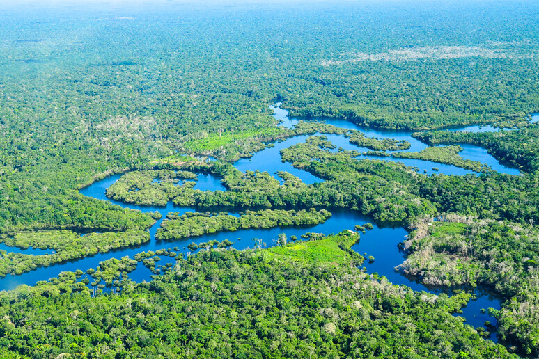 Vista aerea della foresta amazzonica nella zona di Manaus (fonte: Neil Palmer/CIAT da Flickr) - RIPRODUZIONE RISERVATA