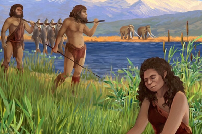 Risalgono a 780mila anni fa i primi cibi cotti dall’uomo (fonte: Tel Aviv University) - RIPRODUZIONE RISERVATA