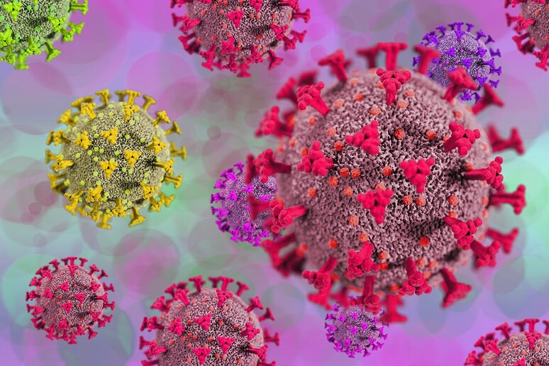 Rappresentazione grafica di particelle del virus SarsCoV2 (fonte: Pixabay) - RIPRODUZIONE RISERVATA