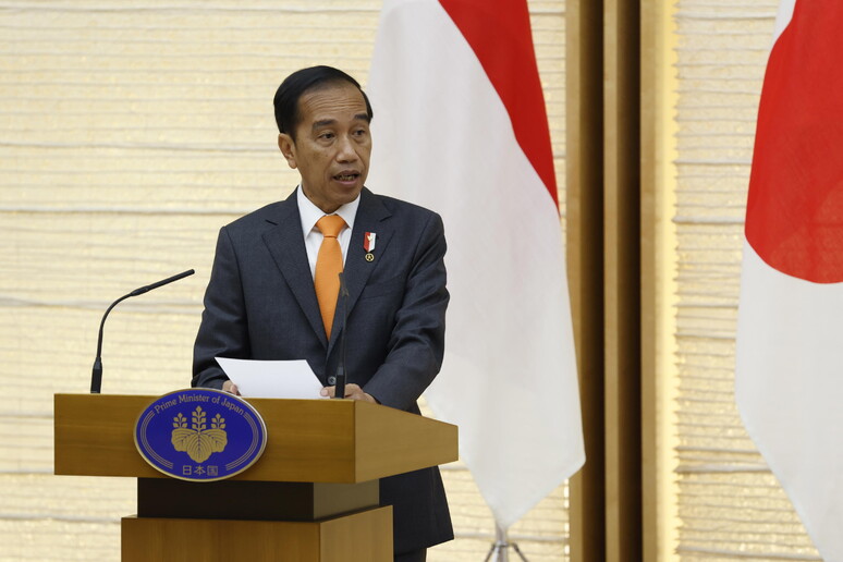 Il presidente dell 'Indonesia Joko Widodo © ANSA/EPA