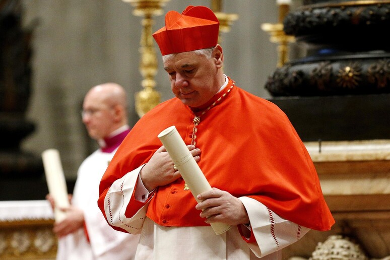 Il Cardinal Muller - RIPRODUZIONE RISERVATA