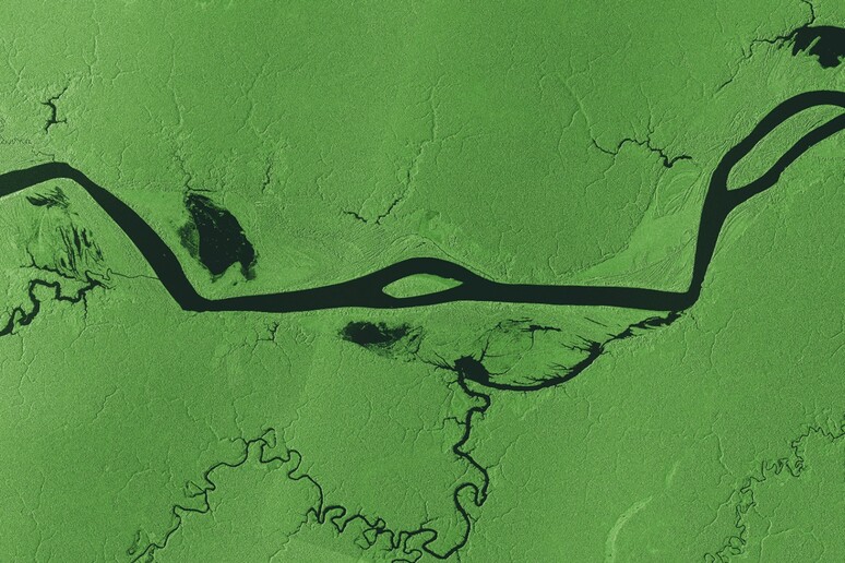 Amazonas rainforest view from Italian Cosmo-SkyMed satellites (fonte: e-Geos) - RIPRODUZIONE RISERVATA