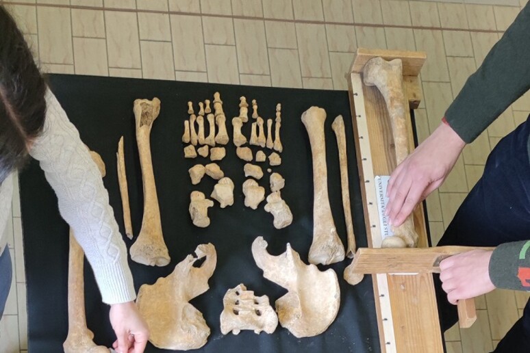 Gli antropologi del Labanof al lavoro su uno scheletro (fonte: Lucie Biehler-Gomez, Labanof-Dip. Scienze Biomediche per la Salute) - RIPRODUZIONE RISERVATA