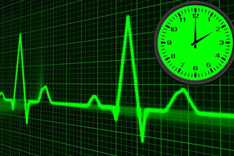 La percezione del tempo varia con il battito del cuore (fonti: il tracciato delle 'elettrocardiogramma è di PulicDomainPictures, orologio di Creazilla) - RIPRODUZIONE RISERVATA