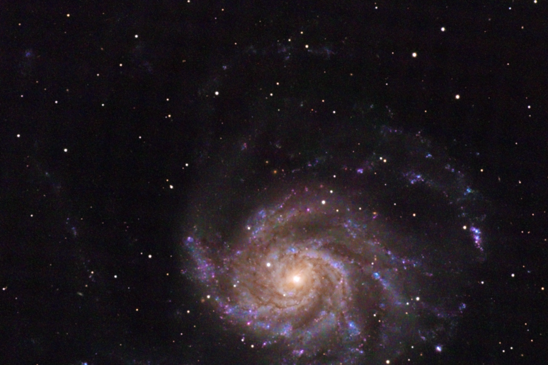 Le linee bianche indicano la supernova SN 2023ixf, ai margini della galassia Messier 101 (fonte: Florian Rünger, da Wikipedia) - RIPRODUZIONE RISERVATA