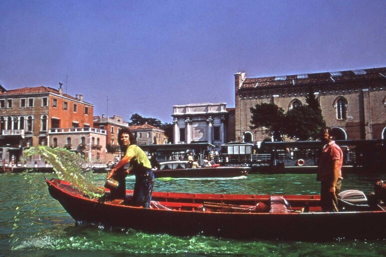 Chiazza verde in Canal Grande, come alla Biennale del 1968 - Wikipedia/UtopiadelSur - RIPRODUZIONE RISERVATA